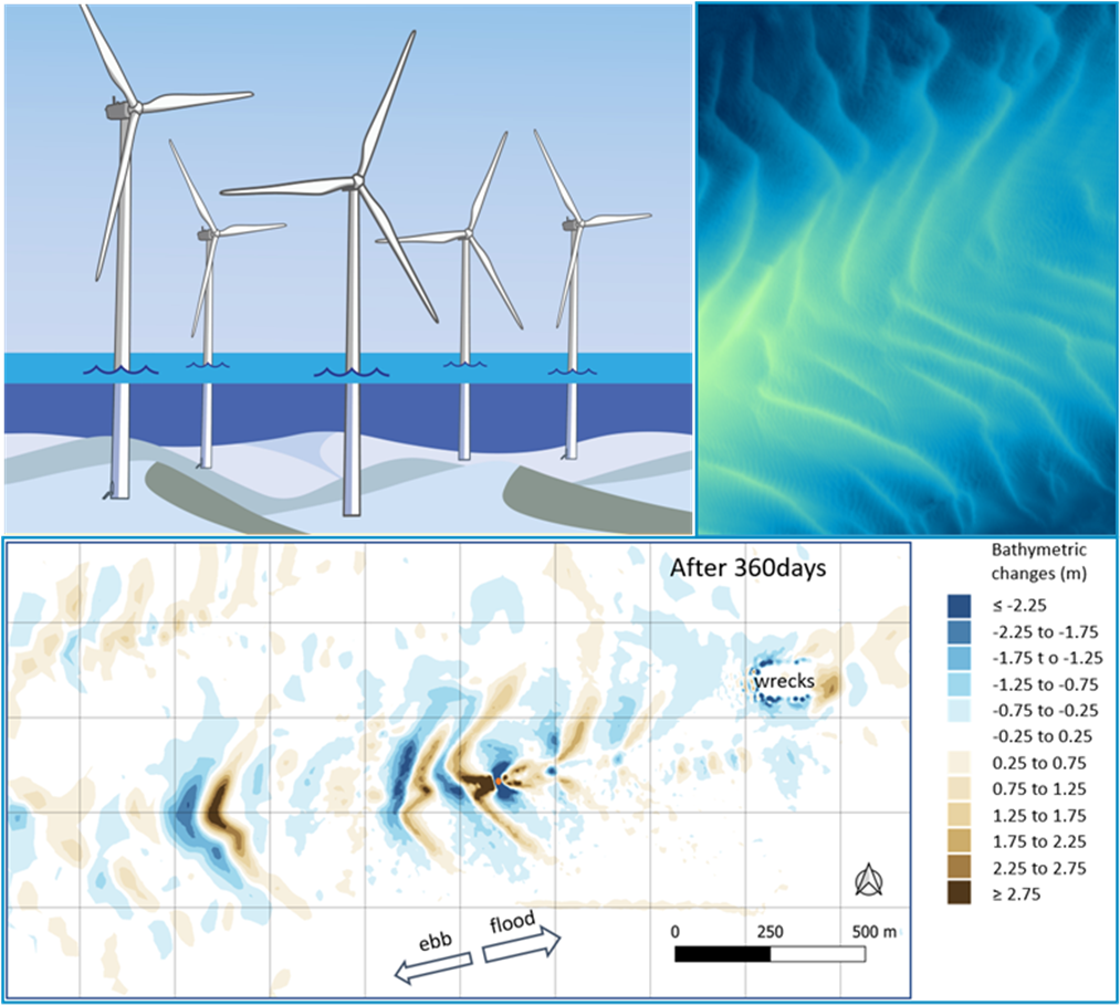 Travail de thèse Noémie DURAND